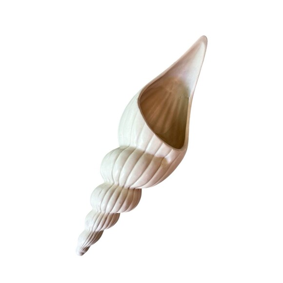 Vintage 1981 Fitz And Floyd Large Ceramic Conch Shell Planter - Picture 2 of 7